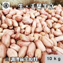 【送料無料(一部地域除く)】新豆 令和6年産 調理前生落花生 むき実 10kg(1kg×10袋) 小分け 最高級品種 千葉半立のみ使用 千葉県産