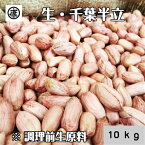 【送料無料(一部地域除く)】令和4年産 新豆！調理前生落花生 むき実 10kg(1kg×10袋) 小分け 最高級品種 千葉半立のみ使用 千葉県産