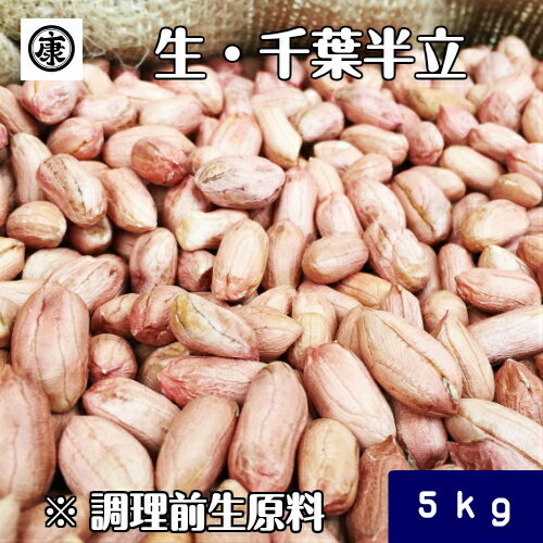 令和5年産 新豆！調理前生落花生 むき実 5kg (1kg×5袋)最高級品種 千葉半立のみ使用 千葉県産