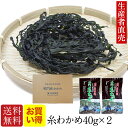 【人気商品】『生産者直売』【送料無料】【お買い得】【あす楽対応】鳴門産乾燥わかめ40g×2個セット 糸わかめ 免疫力 鳴門海峡産 ワカメ 国産わかめ 追跡番号有りポスト投函便 美味しいもの お取り寄せ腸内細菌