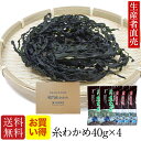 【人気商品】『生産者直売』【送料無料】【お買い得】【あす楽対応】鳴門産乾燥わかめ40g×4個セット 糸わかめ 免疫力 鳴門海峡産 ワカメ 国産わかめ 追跡番号有りポスト投函便 美味しいもの お取り寄せ腸内細菌