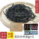 【人気商品】『生産者直売』【送料無料】【お買い得】【あす楽対応】鳴門産乾燥わかめ40g×5個セット 糸わかめ 免疫力 鳴門海峡産 ワカメ 国産わかめ 追跡番号有りポスト投函便 美味しいもの お取り寄せ腸内細菌
