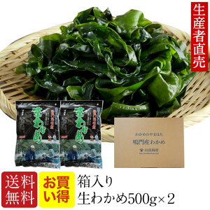 【お買い得】『2025年新生わかめ』【あす楽対応】500g×2個セット大人気!『生産者から直送』 わかめ 箱入り 鳴門海峡 鳴門産 国産 わかめ ワカメ 塩わかめ 鳴門わかめ 塩蔵わかめ 産地直送 海産物 免疫力 送料無料生ワカメ生わかめ