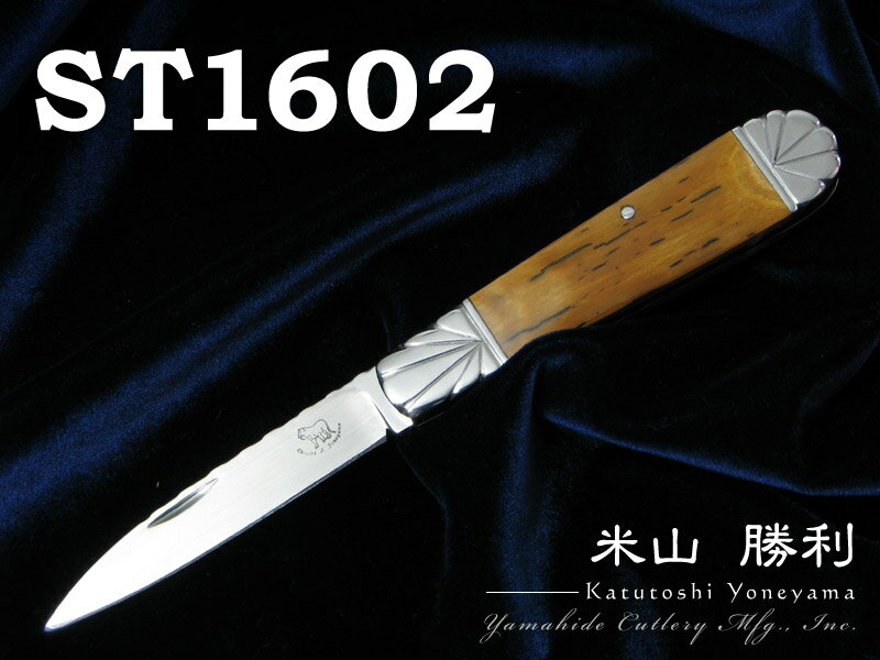 ƻ /Katutoshi Yoneyama Chicchi Knives ST1602 ޤߥʥ