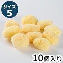 【業務用】天然海綿 シルク種 サイズ5(約5cm)1袋10個入り きめが細かく、崩れにくい弾力性 100%天然 ソフトな肌ざわり 肌にやさしい 天然スポンジ きめ細かい繊細 メイクアップ用 フェイス用 エステ用 女性用 洗顔用 洗体用 入浴用 業務用 吸収 泡立て 天然の高級海綿