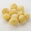 【業務用】ウール海綿 2.0-2.4インチ(約5~6cm)10個入り 天然海綿 柔らかく優しい肌触り 100%天然 天然スポンジ フェイス用 ボディ用 エステ用 女性用 洗顔用 洗体用 入浴用 業務用 吸収 泡立て 天然の高級海綿