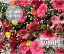 【 選べる 切り花 セット ★ 自宅用 】 切花 生花 花束 長持ち 福袋 ボリューム 生花アレンジ フラワーアレンジメント インテリア 花 誕生日 記念日 ホ...