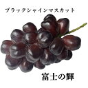 【 ブラックシャインマスカット ★ 富士の輝 】 シャインマスカット ぶどう お取り寄せ 富士の輝き シャインマスカット 予約 ギフト 贈答用 マスカット ブドウ 葡萄 お取り寄せ フルーツ 果物 ギフト 父の日 ぶどう 母の日 ギフト 誕生日 果物 くだもの プレゼント お祝い