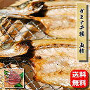 カマスの干物