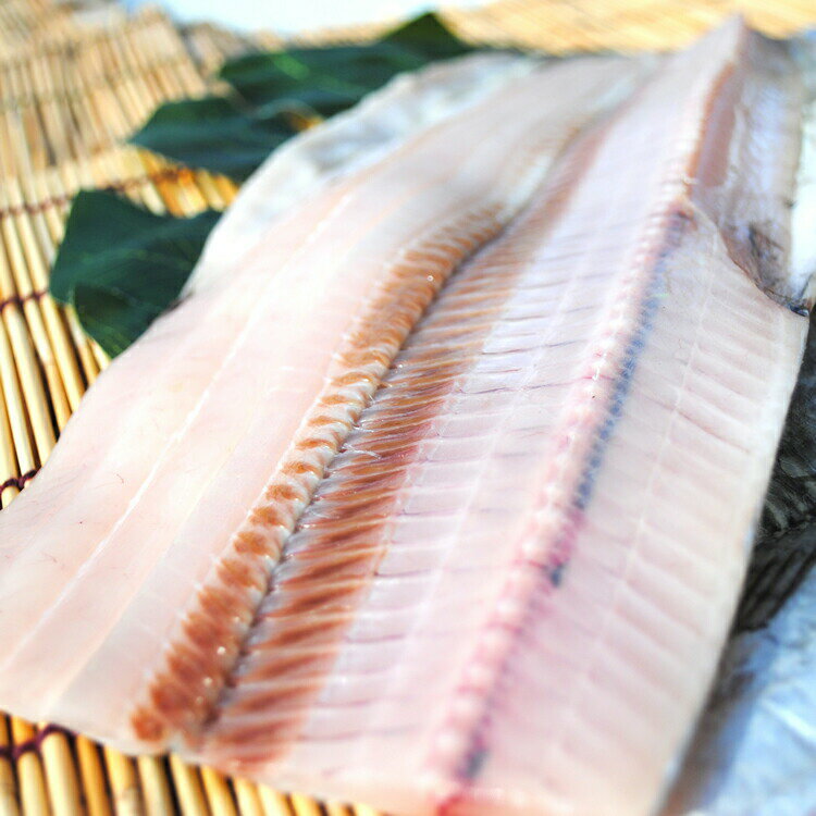 太刀魚の締め方ガイド 持ち帰る際の鮮度を保つ保存方法もご紹介 2ページ目 暮らし の