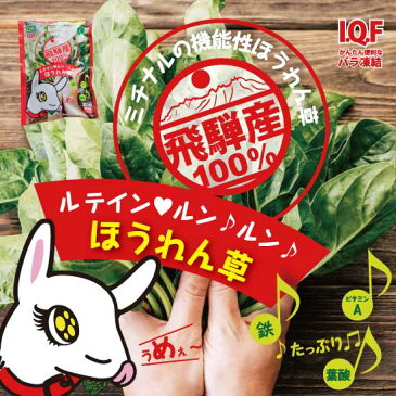 『ルテイン ルンルン SDGs ほうれん草 100g×袋』ミチナル(第8回もったいない大賞受賞 冷凍ほうれん草 機能性表示食品 ルテイン2倍　ホウレンソウ 目にいい 飛騨高山産 岐阜 IQF)