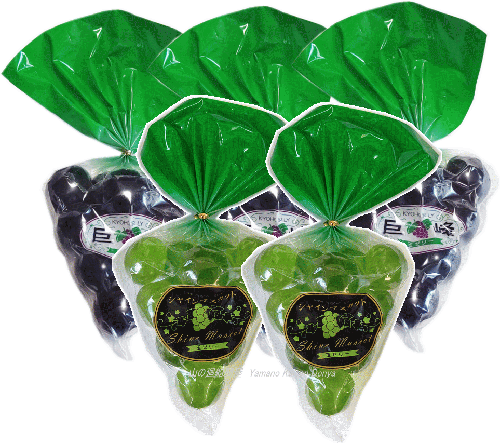 玉ゼリー食べ比べ5個セット【訳あり:賞味期限間近】(巨峰玉ゼリー3袋&シャインマスカット玉ゼリー2袋)【送料無料】ひとくち玉ゼリー 玉ゼリー つまようじ 一口玉...