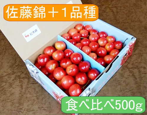 山梨県南アルプス市産