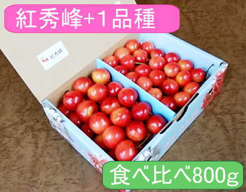 Rakuten - 山梨県南アルプス市産【紅秀峰＋1品種　2種MIX】さくらんぼ800gLサイズ以上【送料無料】【生産元直送品N】