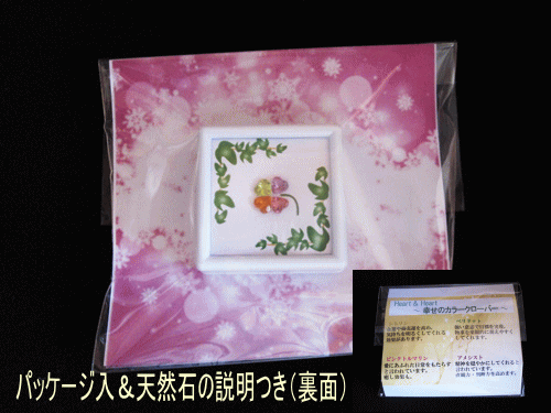 幸せのカラークローバー【メール便送料無料】