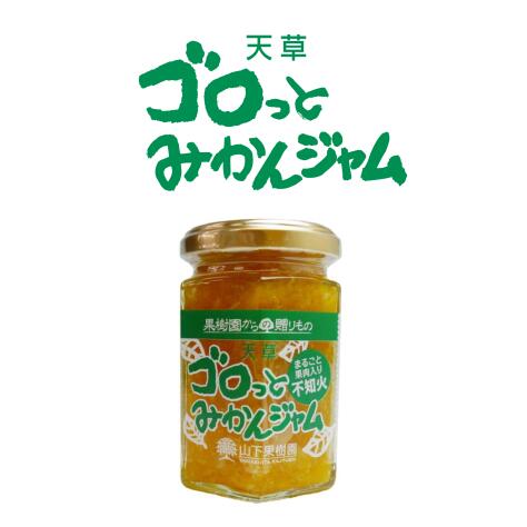 熊本県産　山下果樹園　ゴロっとみかんジャム　150g みかんジャム オレンジジャム 無添加 着色料不使用