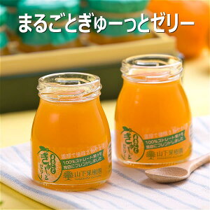 熊本県 まるごとぎゅーっとゼリー 100g 山下果樹園 みかんゼリー オレンジゼリー みかんジュレ 合成着色料不使用 合成保存料無添加 100%ストレート果汁