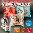 《アソート3種》上山秀2、カカオ2個、アップル2個(計6個) かみのやまシュー【日時指定可★ギフト・ のし対応可】ギフト プレゼント 母の日 個包装 冷凍 小分...