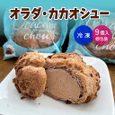 《オラダ・カカオシュー9個》【年間30万個売れるシュークリーム】かみのやまシュー 上山秀【日時指定可★】個包装 お菓子 スイーツ 冷凍 【ギフト・ のし対応可】...