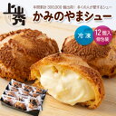 【上山秀 12個】【ご贈答】 カスタード シューギフト プレゼント 個包装 冷凍 小分け 送料無料※一部地域を除く