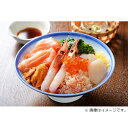(出荷・製造:北海道) (5aN2) 北の豪快海鮮丼の具