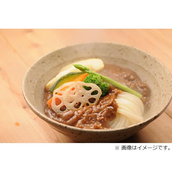 香川　（TC-5）　「亀城庵」 特製カレーうどん5人前