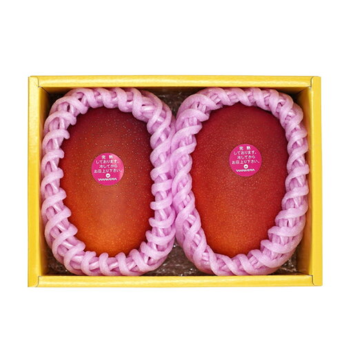 K-3L2 みやざき完熟マンゴー贈り物 プレゼント お祝い お返し 出産 結婚 ギフト お礼 ご挨拶 手土産 内祝 K-3L2 みやざき完熟マンゴー贈り物 プレゼント お祝い お返し 出産 結婚 ギフト お礼 ご挨拶 手土産 内祝