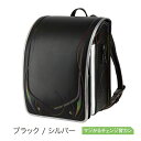 No60 レインボーR(ブラック / シルバー)