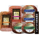RHB-35 伊藤ハム 田崎真也セレクション 肉惣菜セット