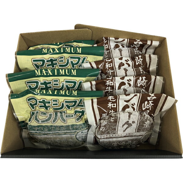 HBS-1　ハンバーグセット