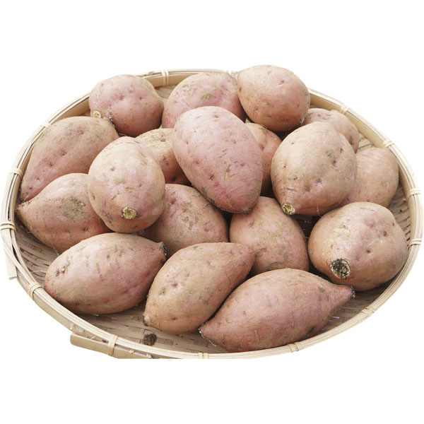 種子島産　安納芋(4)