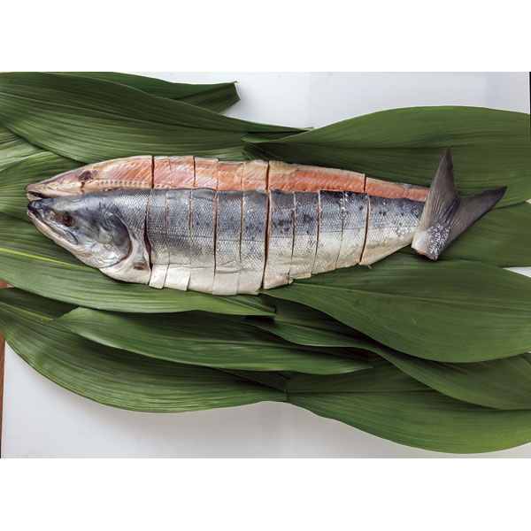 C-50　新巻鮭（秋鮭）