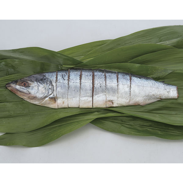 C-35　新巻鮭（秋鮭）