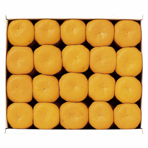 SA-35　光センサー選別　鹿児島県産 桜島小みかん(4)