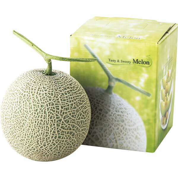 RM-35　アールスメロン