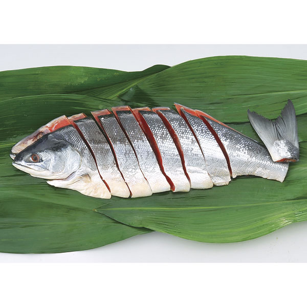 B-50　新巻鮭（紅鮭）