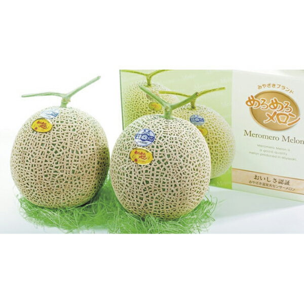 MM-2　みやざき温室 光センサーメロン「めろめろメロン」