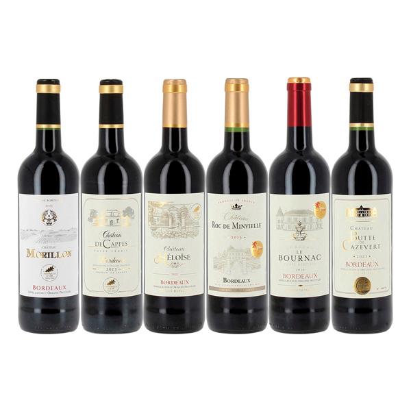 54-フランス　有名コンクール金賞受賞ワイン6本セット
