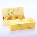 味のくらや 日向夏ようかん「黄娘」 3個入