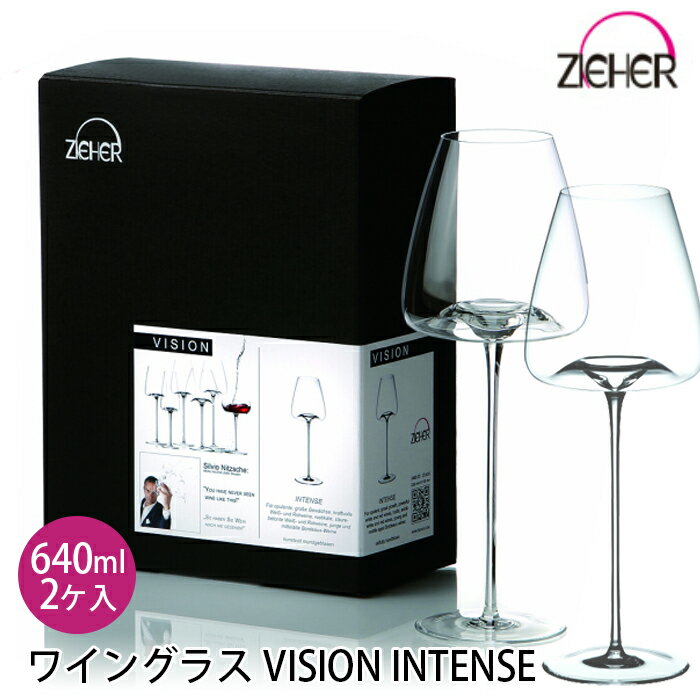 ペアワイングラス ペアワイングラス 640ml 2ケ入 INTENSE インテンス VISION 5480.03 ZIEHER ペアセット 合羽橋 かっぱ橋 クリスマス