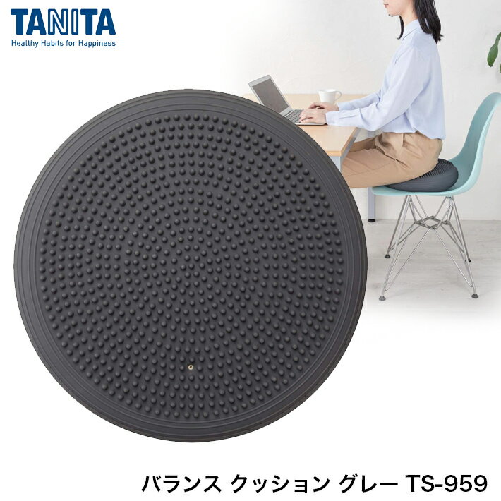 TANITA タニタ バランス クッション グレー TS-959 タニタ サイズ インナーマッスル エクササイズ トレーニング 健康管理 合羽橋 かっぱ橋