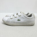 DyUSA10zRXe/LACOSTE CARNABY EVO STRAP 119 Xj[J[/MENS/39yÁz