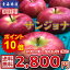 エントリーでポイント10倍!!【送料無料】青森県産 サンジョナ 家庭用 5kg(約5キロ) 中生種りんご 食品 果物 フルーツ お取り寄せグルメ