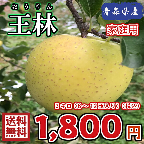 【送料無料】お試し品！　青森県産　王林　家庭用　3Kg(約3キロ)　 晩生種りんご　食品　果物...