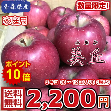 エントリーでポイント10倍!!【送料無料】数量限定!青森県産 美丘 家庭用 3kg(約3キロ) 晩生種りんご 食品 果物 フルーツ お取り寄せグルメ