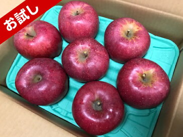 エントリーでポイント10倍!!【送料無料】数量限定!青森県産 美丘 家庭用 3kg(約3キロ) 晩生種りんご 食品 果物 フルーツ お取り寄せグルメ