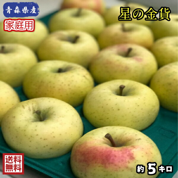 りんご 【送料無料】数量限定！青森県産　星の金貨　家庭用　5kg(約5キロ)　 晩生種りんご　食品　果物　フルーツ　お取り寄せグルメ
