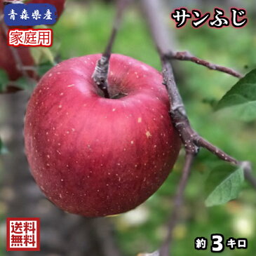 【送料無料】お試し品! 青森県産 サンふじ 家庭用 3Kg(約3キロ) 晩生種りんご 食品 果物 フルーツ お取り寄せグルメ