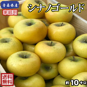 【送料無料】青森県産　シナノゴールド　家庭用　10Kg(約10キロ)　 晩生種りんご　食品　果物　フルーツ　お取り寄せグルメ