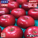 【送料無料】数量限定！青森県産　紅玉　家庭用　4.5kg(約4.5キロ)　 中生種りんご　食品　果物　フルーツ　お取り寄せグルメ